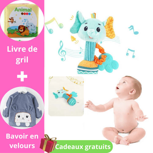 HOCHET BÉBÉ| AMAZINGRATTLE™ - Palais des petits