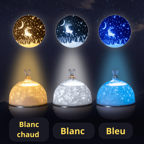 PROJECTEUR VEILLEUSE | BESTPROJECTORSTARRY™ - Palais des petits